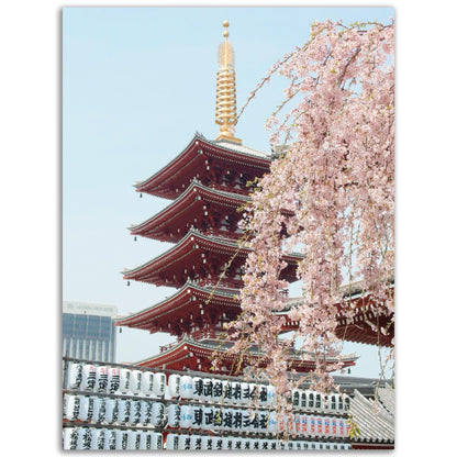 Sensō-ji, Taitō-ku, Japan - Printree.ch architektur, asakusa, asiatisch, asien, attraktion, berühmt, buddhismus, buddhistisch, dekoration, dekorativ, denkmal, elemente, gebäude, japan, japanisch, kultur, menschen, pagode, reise, religion, religiös, sanja matsuri, schrein, senso-ji, stadt, tempel, tokio, tor, tourismus, Unsplash, urban