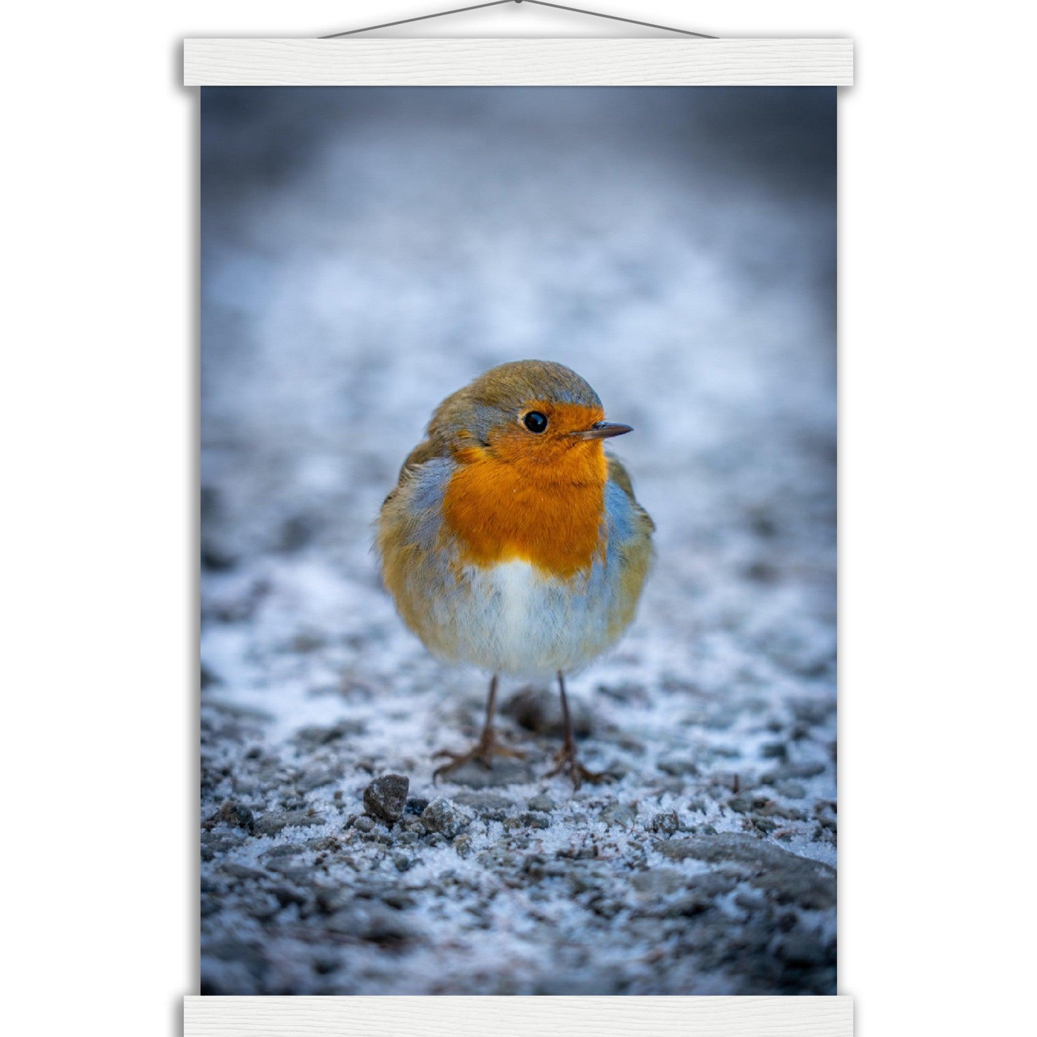 Tierwelt-Poster "Rotkehlchen" - Printree.ch Foto, Fotografie, Tier, Tiere, Tierthemen, Unsplash, Wildtiere