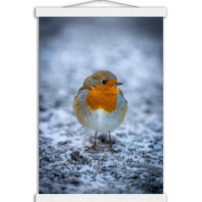 Tierwelt-Poster "Rotkehlchen" - Printree.ch Foto, Fotografie, Tier, Tiere, Tierthemen, Unsplash, Wildtiere