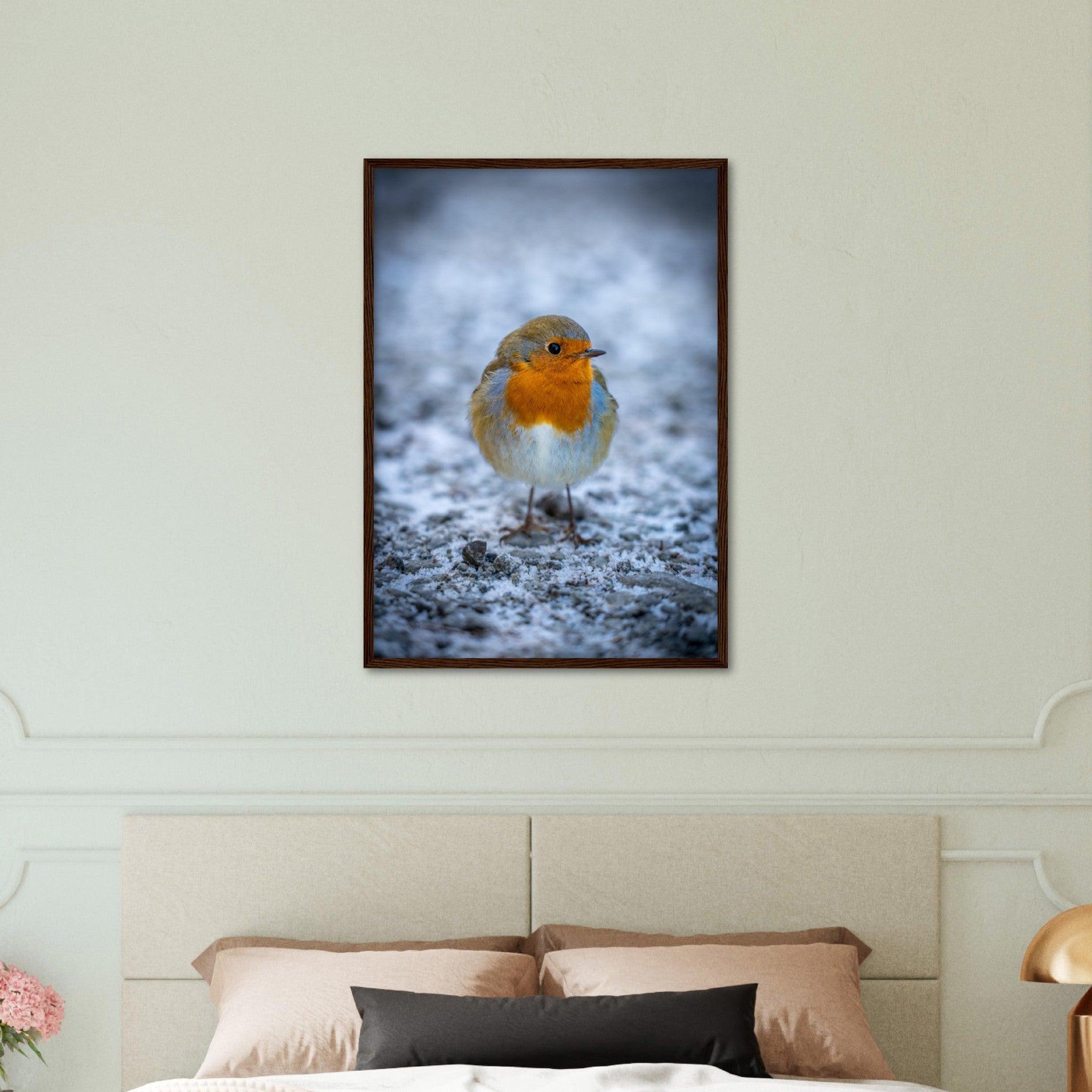 Tierwelt-Poster "Rotkehlchen" - Printree.ch Foto, Fotografie, Tier, Tiere, Tierthemen, Unsplash, Wildtiere