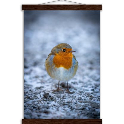 Tierwelt-Poster "Rotkehlchen" - Printree.ch Foto, Fotografie, Tier, Tiere, Tierthemen, Unsplash, Wildtiere