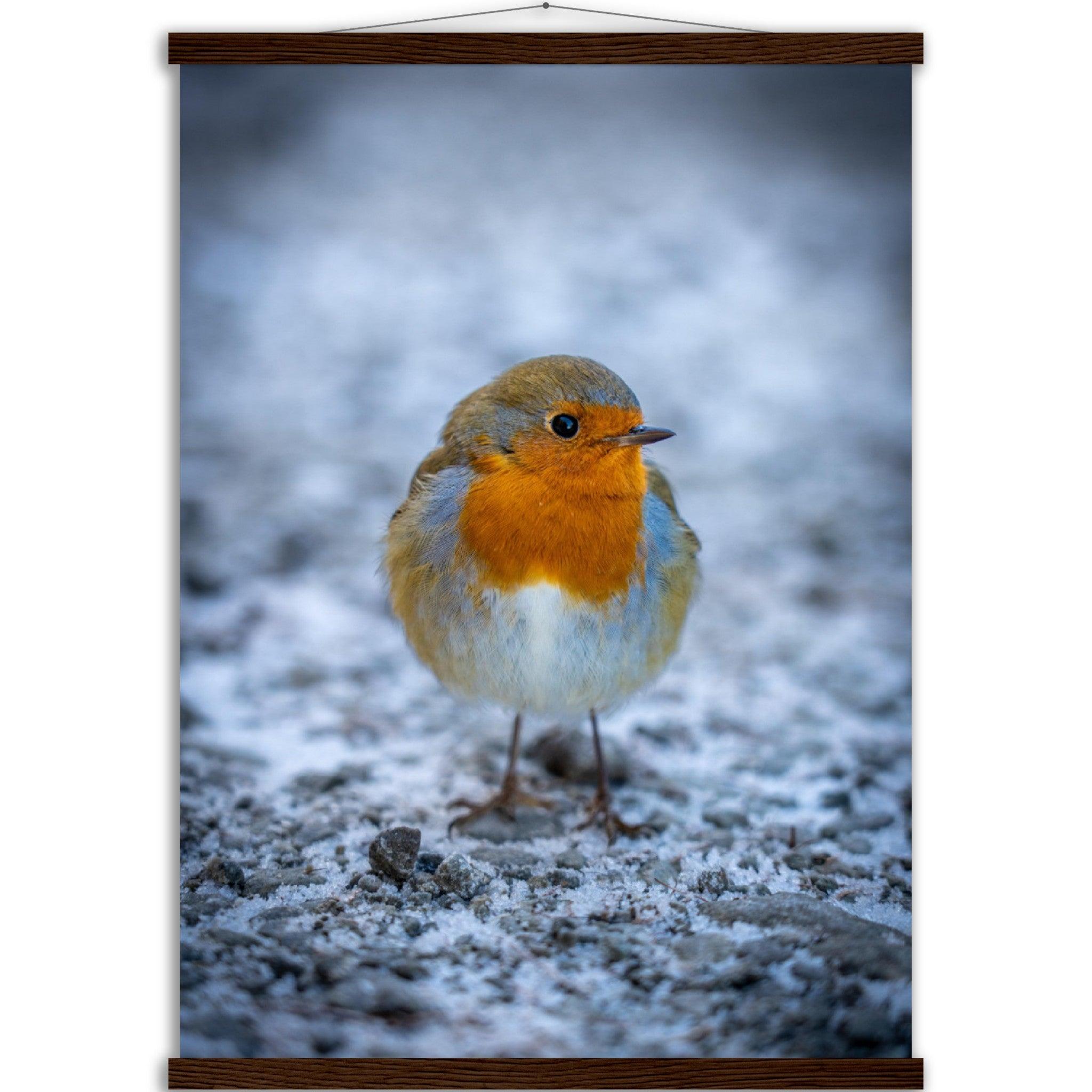 Tierwelt-Poster "Rotkehlchen" - Printree.ch Foto, Fotografie, Tier, Tiere, Tierthemen, Unsplash, Wildtiere