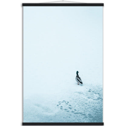 Tierwelt-Print: "Schneezauber" - Printree.ch Foto, Fotografie, Tier, Tiere, Tierthemen, Unsplash, Wildtiere