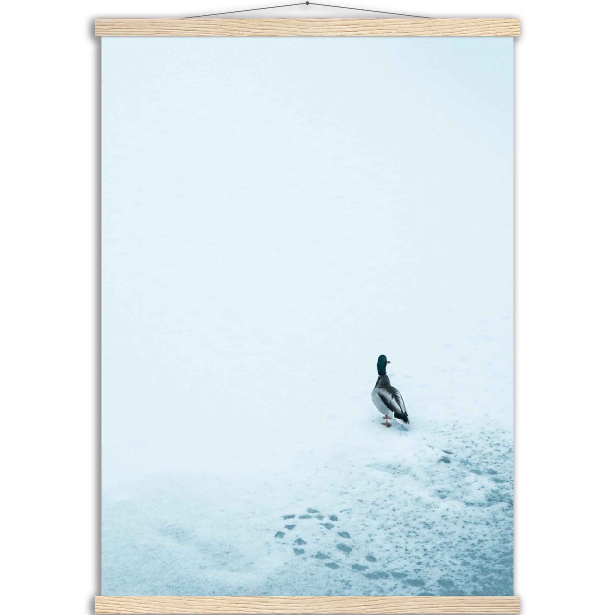 Tierwelt-Print: "Schneezauber" - Printree.ch Foto, Fotografie, Tier, Tiere, Tierthemen, Unsplash, Wildtiere