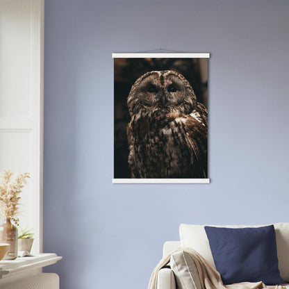 Waldkauz Poster - Printree.ch Foto, Fotografie, Portrait Tier, Tier, Tiere, Unsplash, Wildtiere