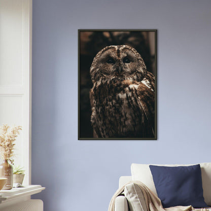 Waldkauz Poster - Printree.ch Foto, Fotografie, Portrait Tier, Tier, Tiere, Unsplash, Wildtiere