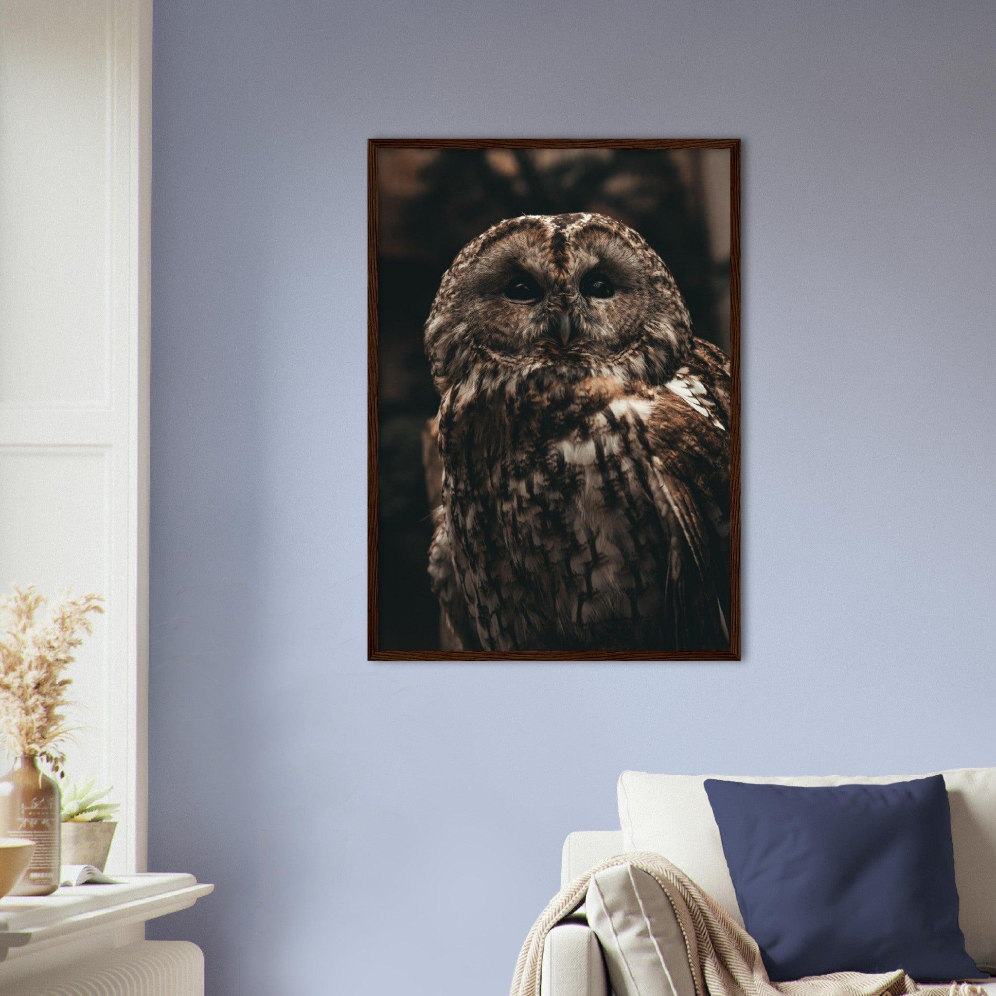 Waldkauz Poster - Printree.ch Foto, Fotografie, Portrait Tier, Tier, Tiere, Unsplash, Wildtiere