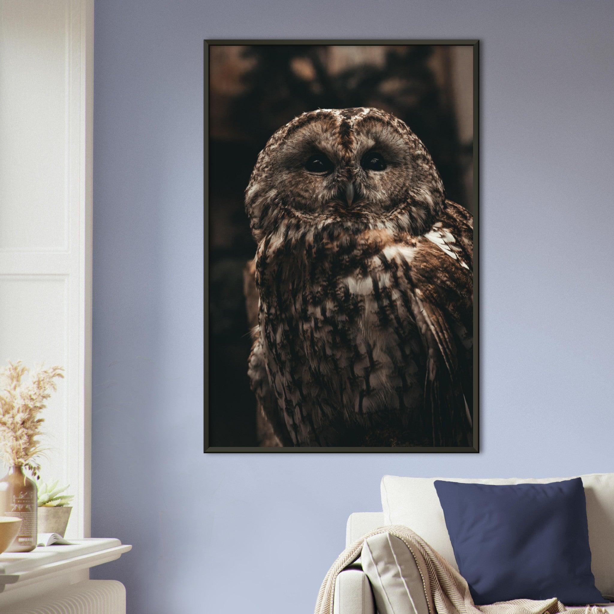 Waldkauz Poster - Printree.ch Foto, Fotografie, Portrait Tier, Tier, Tiere, Unsplash, Wildtiere