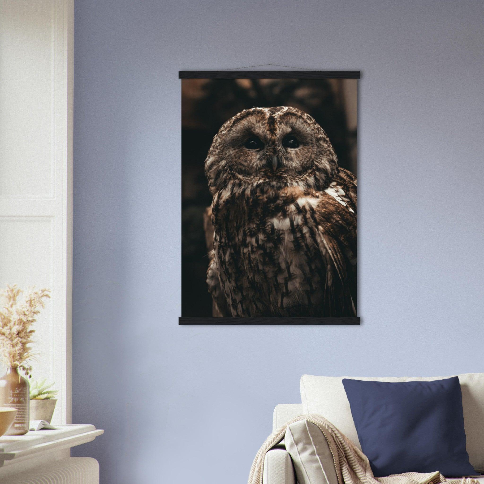 Waldkauz Poster - Printree.ch Foto, Fotografie, Portrait Tier, Tier, Tiere, Unsplash, Wildtiere