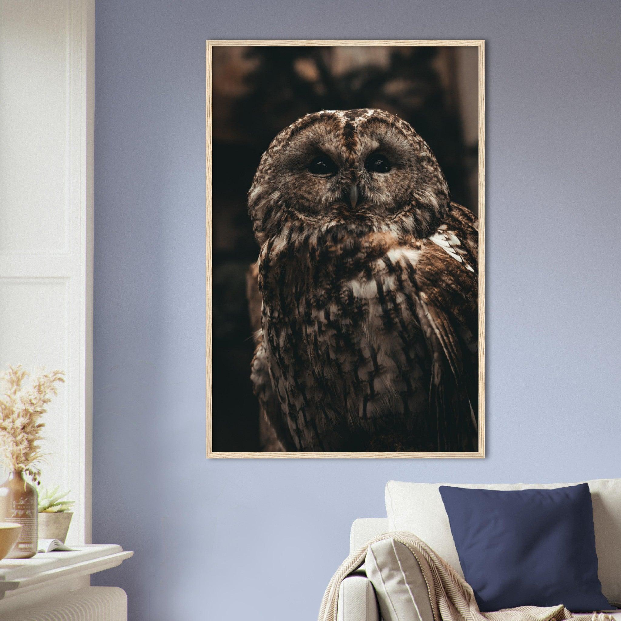 Waldkauz Poster - Printree.ch Foto, Fotografie, Portrait Tier, Tier, Tiere, Unsplash, Wildtiere