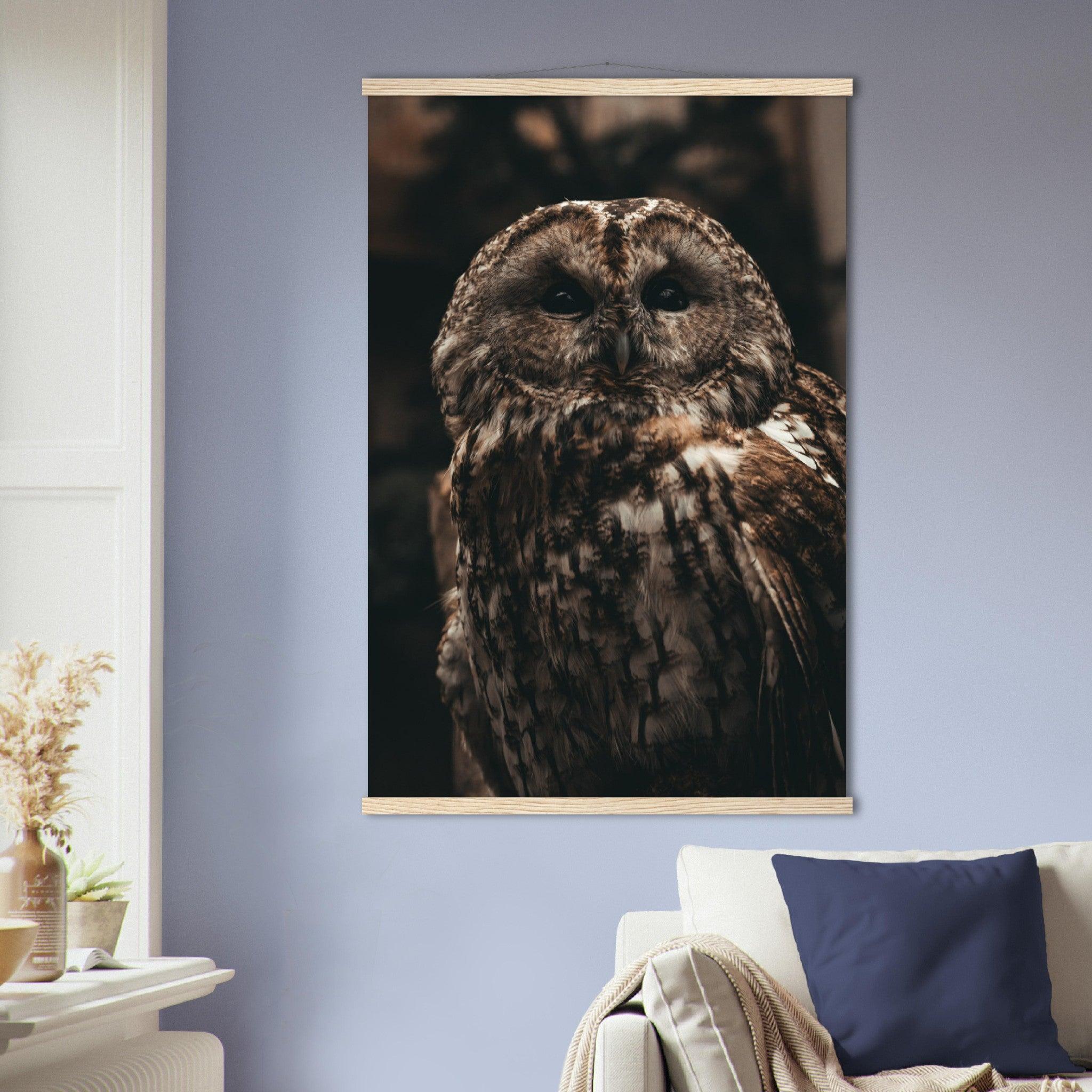 Waldkauz Poster - Printree.ch Foto, Fotografie, Portrait Tier, Tier, Tiere, Unsplash, Wildtiere