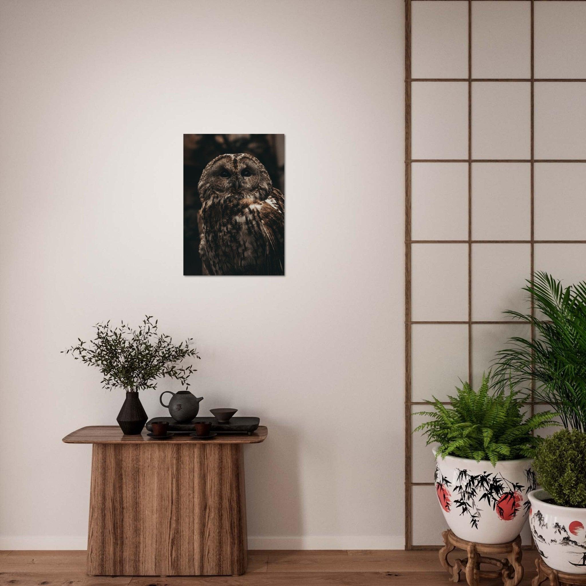 Waldkauz Poster - Printree.ch Foto, Fotografie, Portrait Tier, Tier, Tiere, Unsplash, Wildtiere