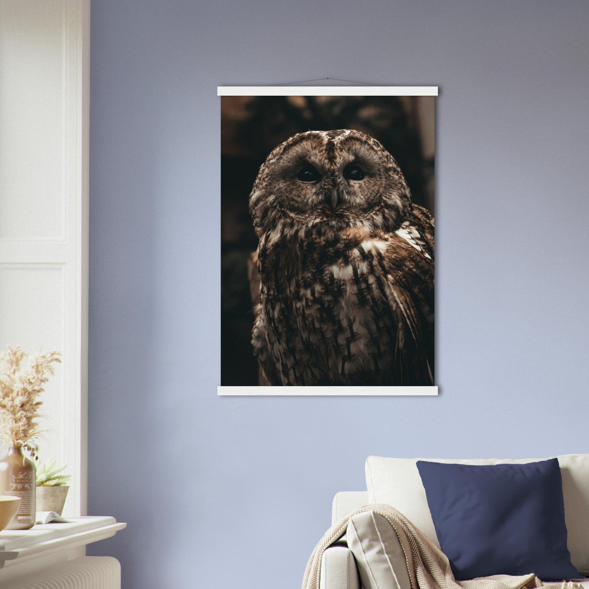 Waldkauz Poster - Printree.ch Foto, Fotografie, Portrait Tier, Tier, Tiere, Unsplash, Wildtiere