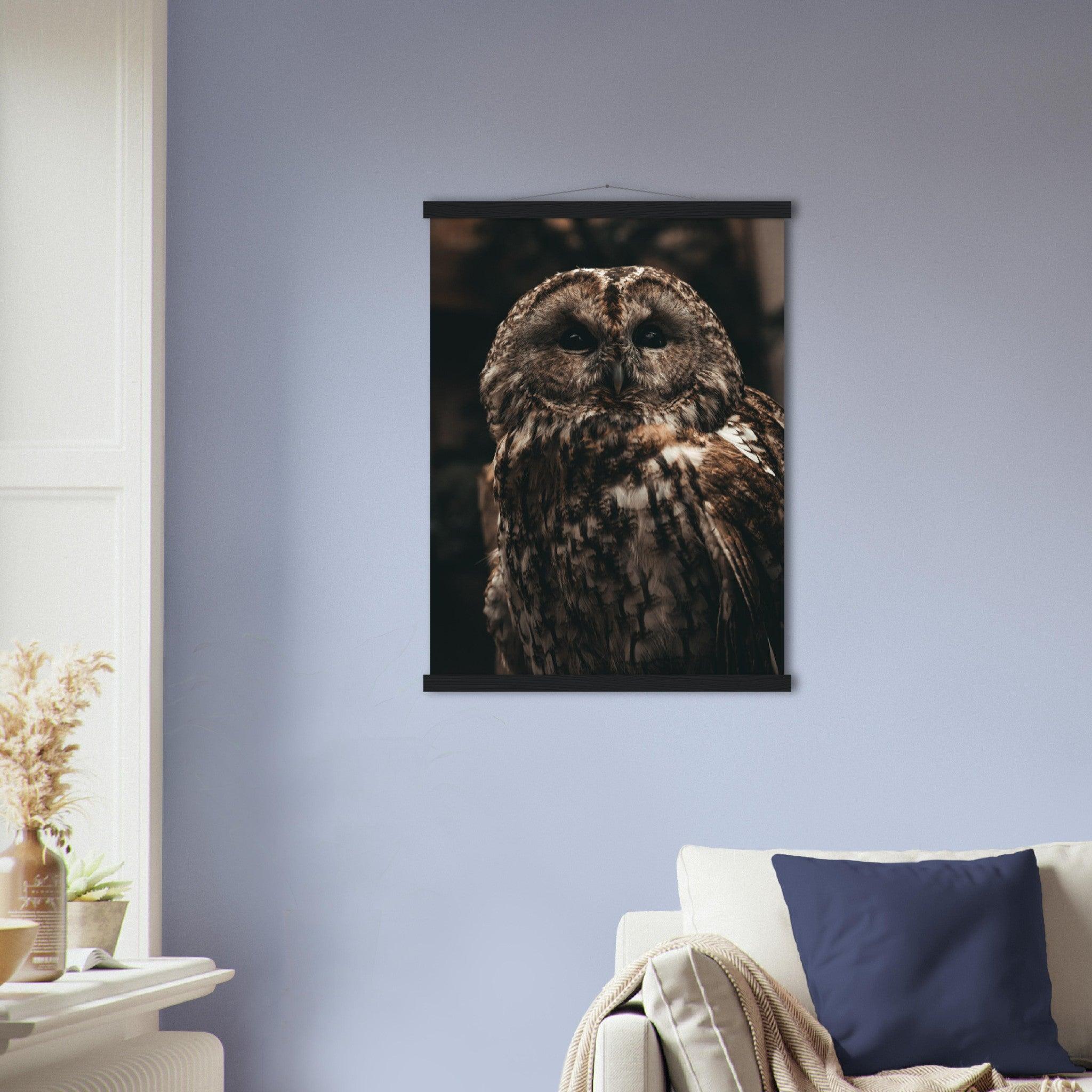 Waldkauz Poster - Printree.ch Foto, Fotografie, Portrait Tier, Tier, Tiere, Unsplash, Wildtiere