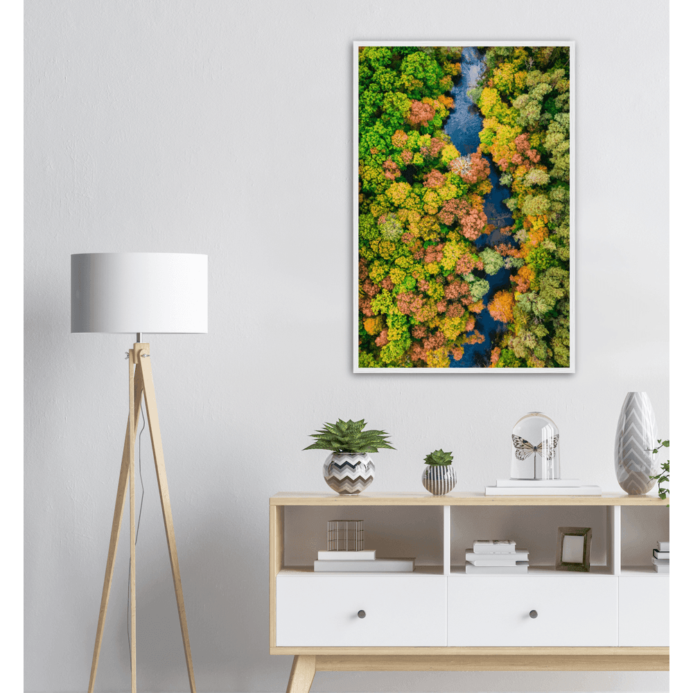 Wasserlauf - Printree.ch Baum, Berg, Blick, Bäume, Drohne, Fotografie, grün, Hintergrund, Holz, im Freien, Kiefer, Landschaft, landschaftlich, Luftaufnahme, ländlich, Natur, natürlich, oben, Panorama, Pflanze, Reise, Saison, schön, Sommer, Strasse, Umwelt, Wald, Ökologie