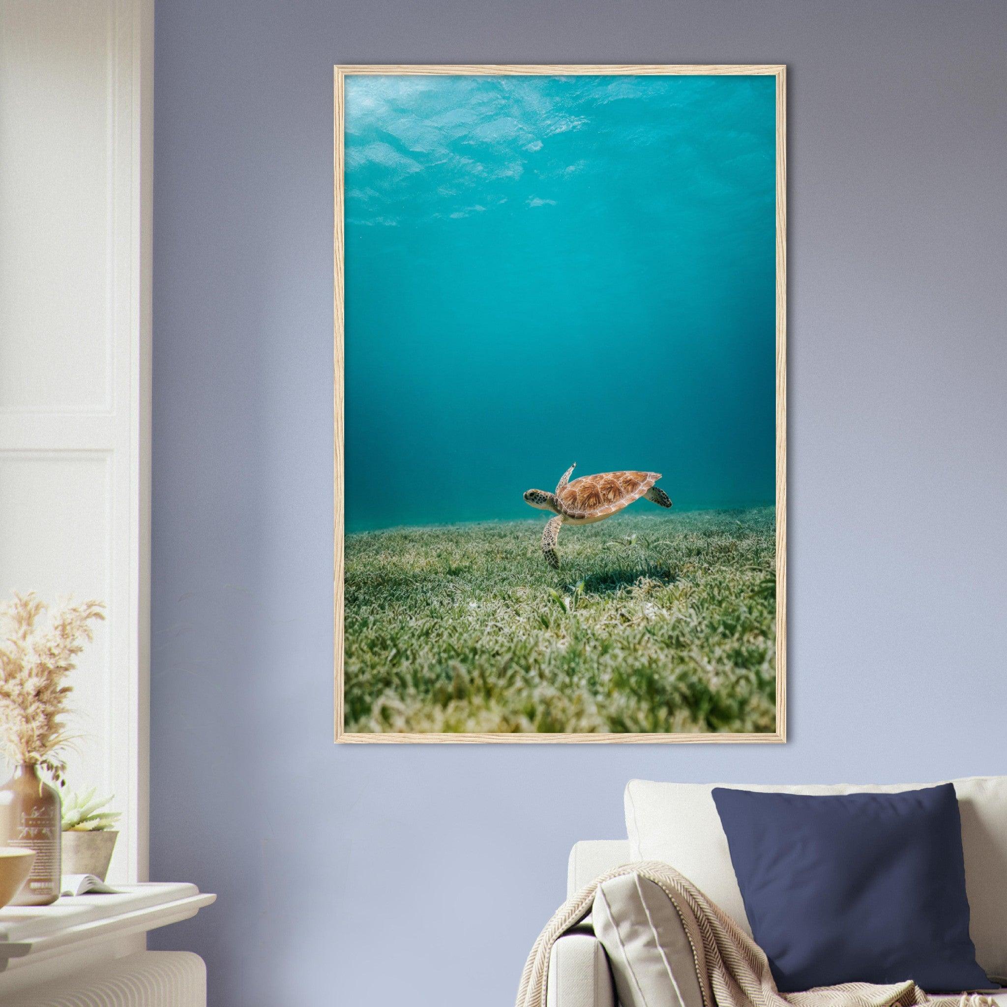 Wasserwelt Poster - Printree.ch Foto, Tier, Unsplash