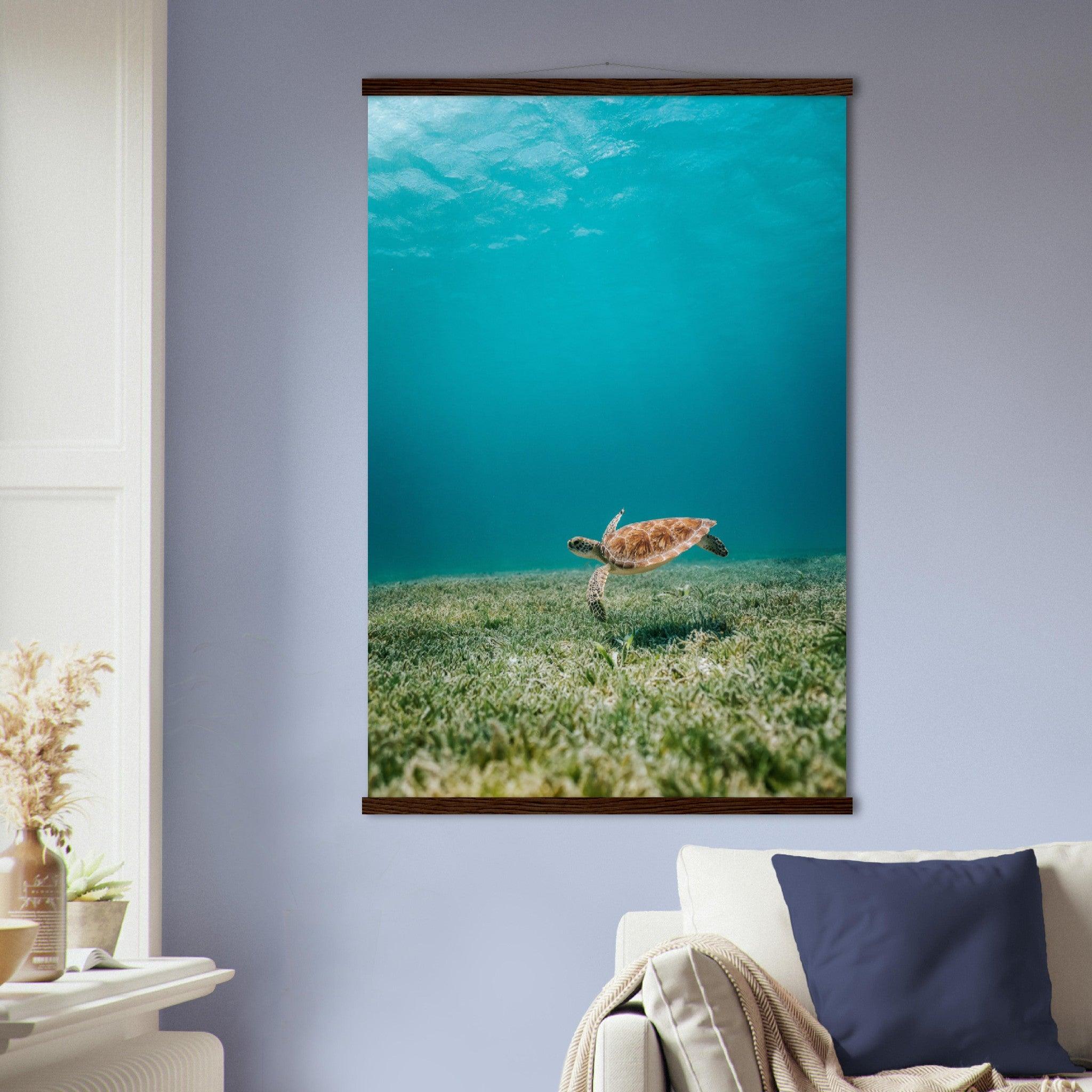 Wasserwelt Poster - Printree.ch Foto, Tier, Unsplash