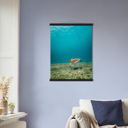 Wasserwelt Poster - Printree.ch Foto, Tier, Unsplash