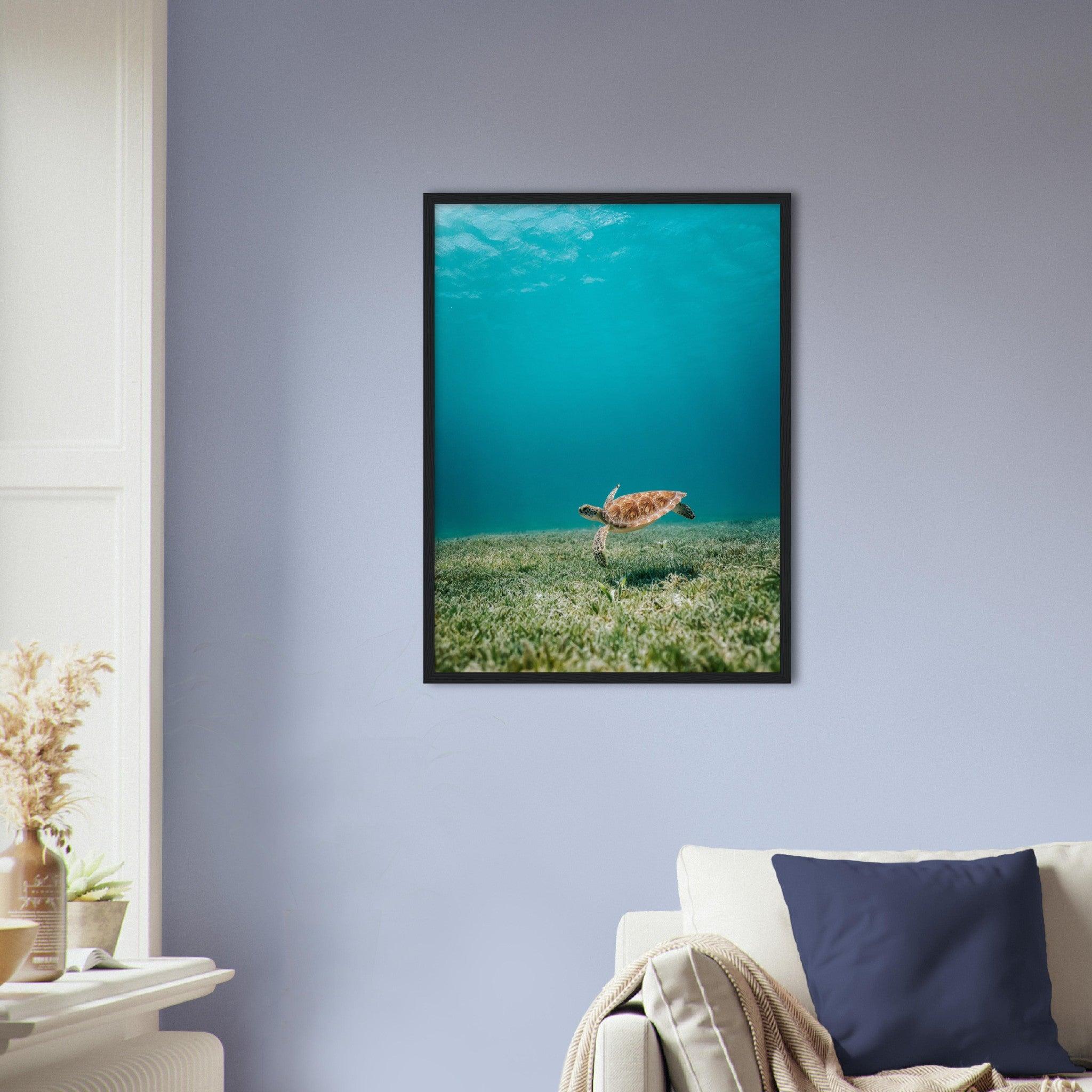 Wasserwelt Poster - Printree.ch Foto, Tier, Unsplash