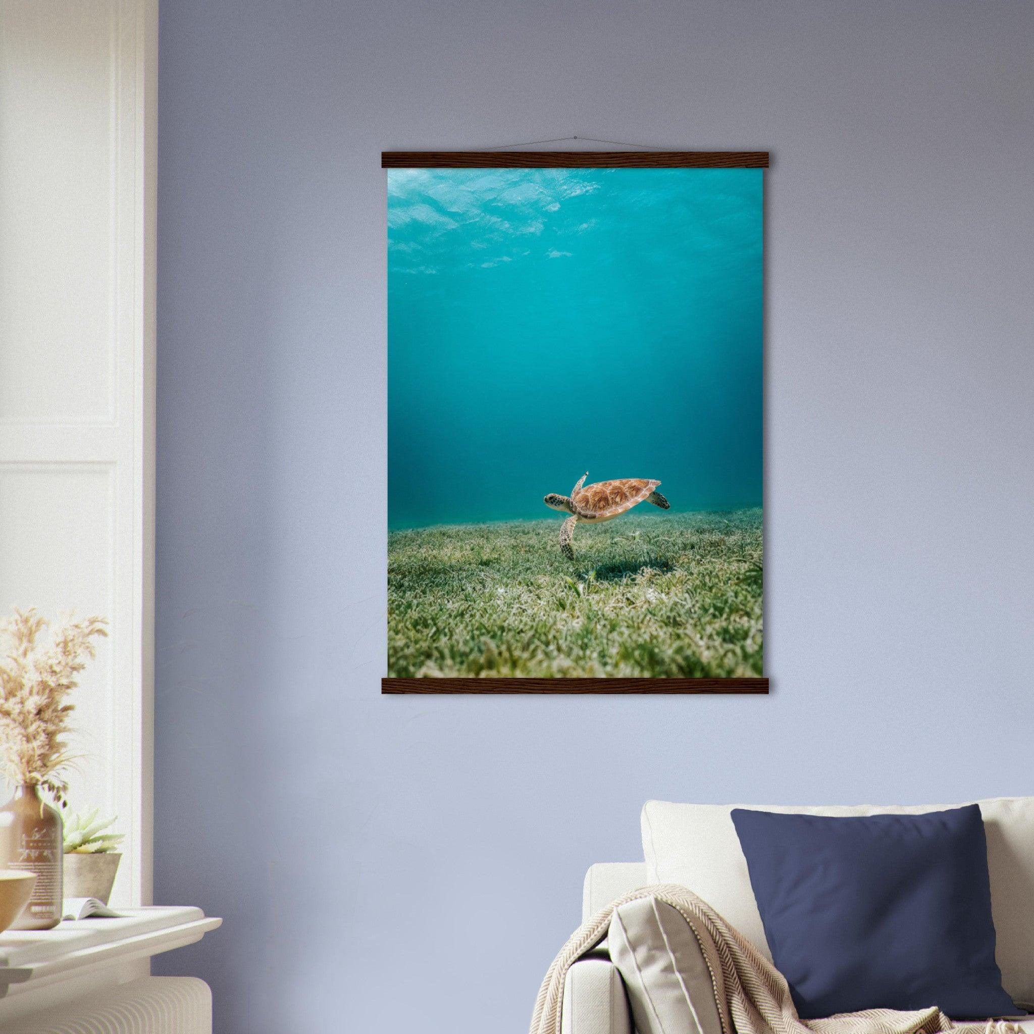 Wasserwelt Poster - Printree.ch Foto, Tier, Unsplash