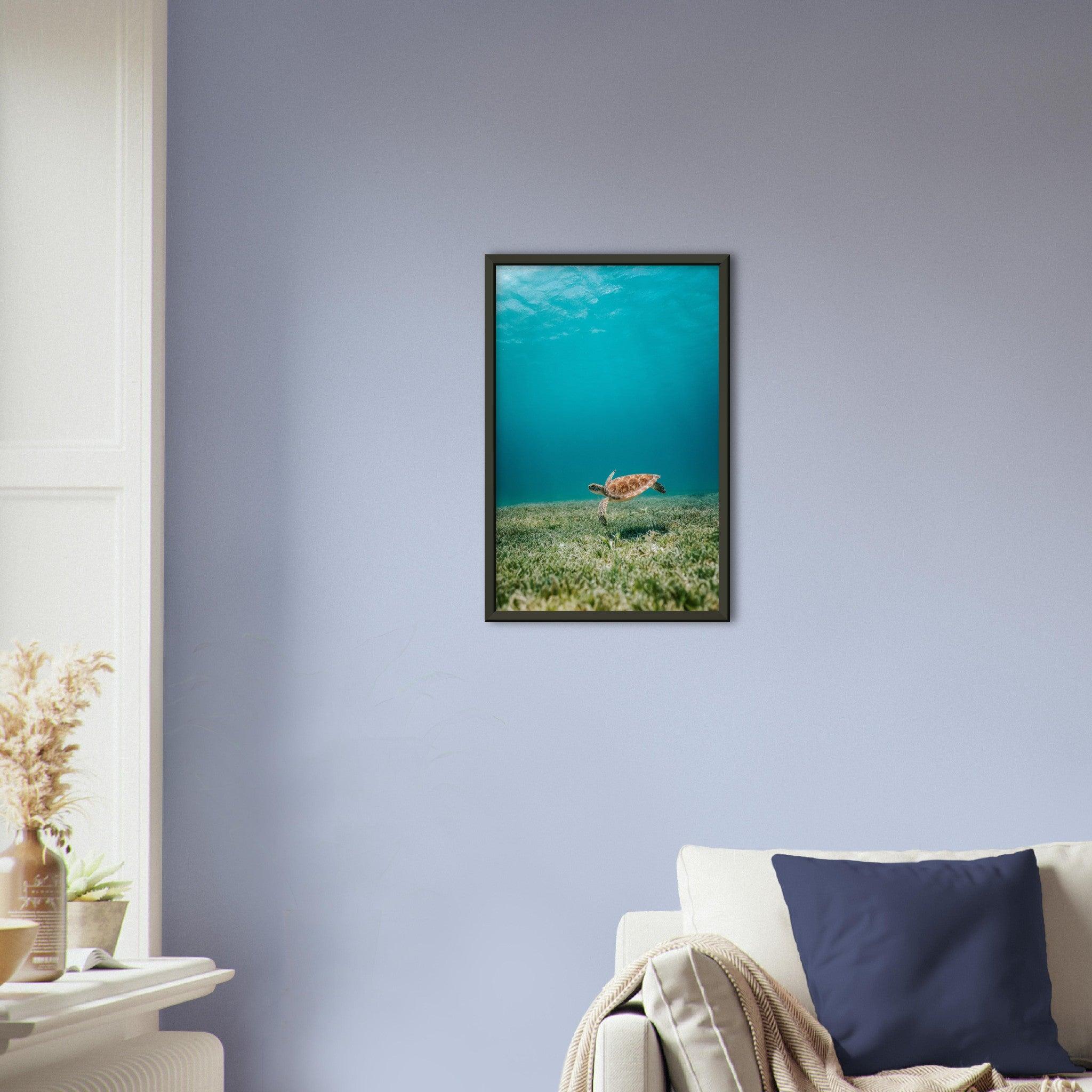 Wasserwelt Poster - Printree.ch Foto, Tier, Unsplash