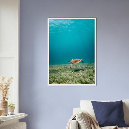 Wasserwelt Poster - Printree.ch Foto, Tier, Unsplash