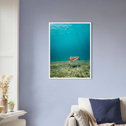 Wasserwelt Poster - Printree.ch Foto, Tier, Unsplash