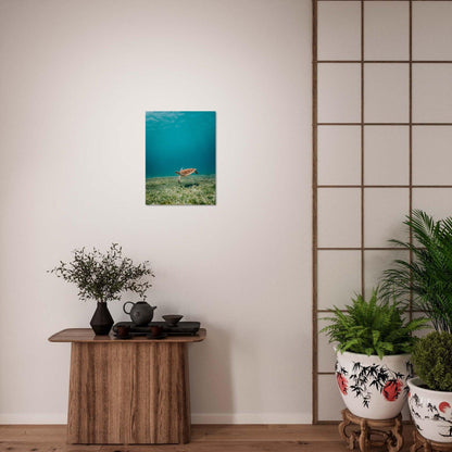 Wasserwelt Poster - Printree.ch Foto, Tier, Unsplash