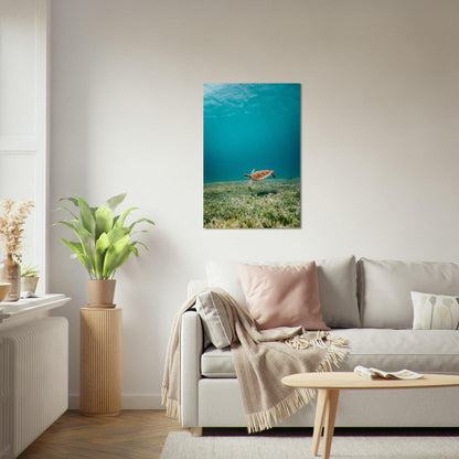 Wasserwelt Poster - Printree.ch Foto, Tier, Unsplash