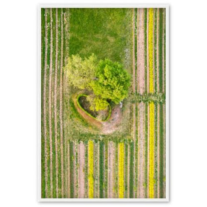 Wiese - Printree.ch Ackerland, auf dem Lande, Baum, Drohne, Drohnenansicht, Feld, Fotografie, Frühling, Garten, Gras, grün, Hintergrund, im Freien, kultivieren, Land, Landschaft, landschaftlich, Landwirtschaft, Luftaufnahme, ländlich, Natur, oben, Reise, Saison, Sommer, Szenerie, Umwelt, Weg, Wiese