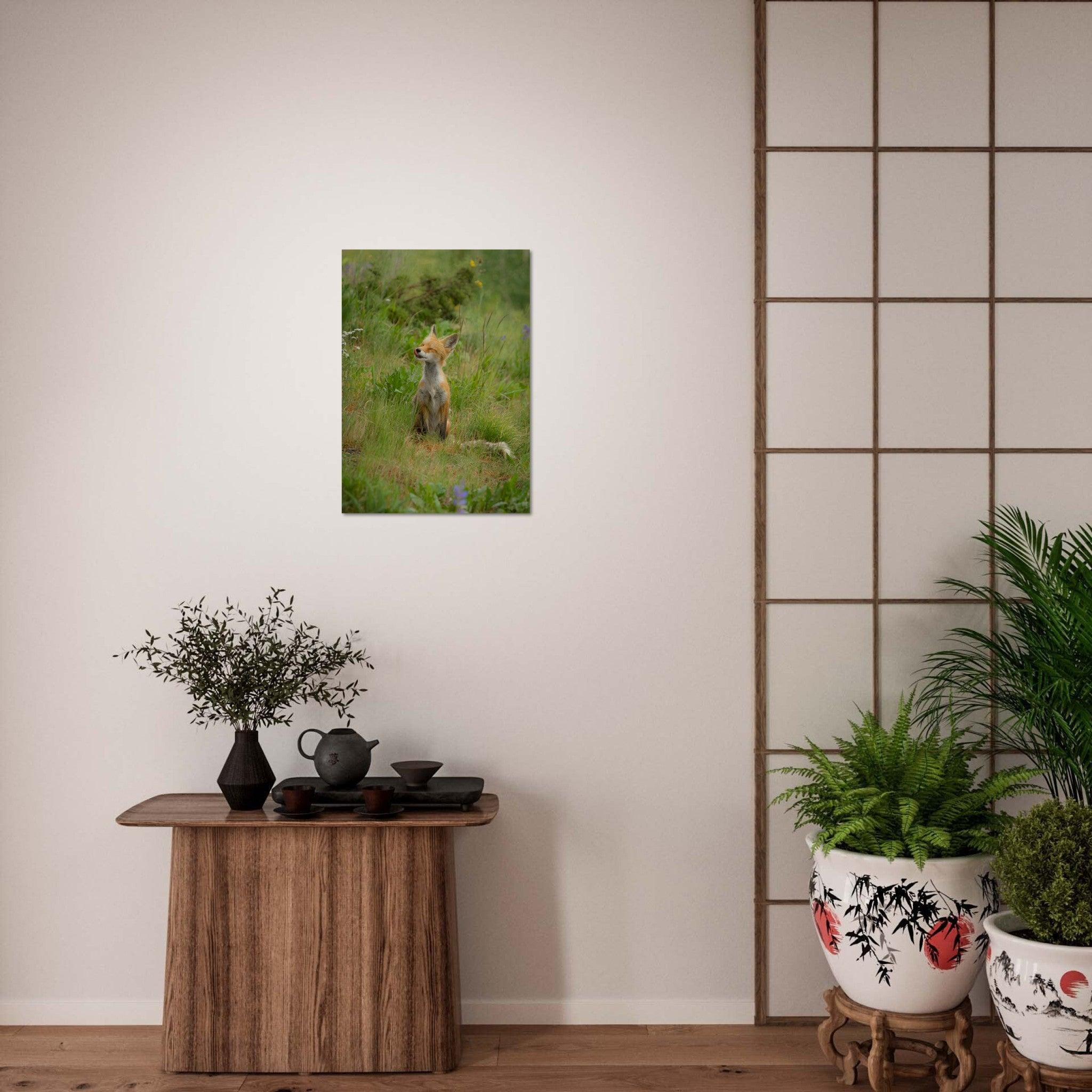 Wildnis Poster - Printree.ch Foto, Tier, Unsplash