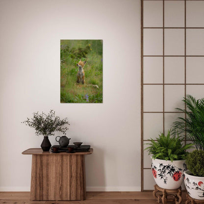 Wildnis Poster - Printree.ch Foto, Tier, Unsplash